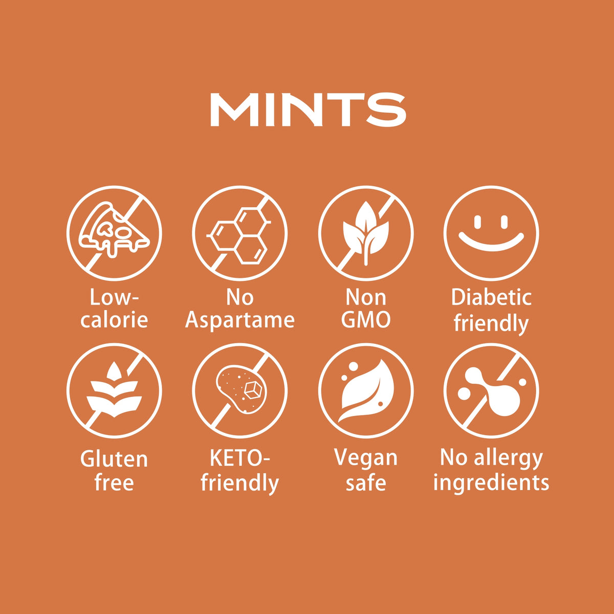 DC24 Daily Care Erythritol Mints-Cinnamon (Pack of 4)